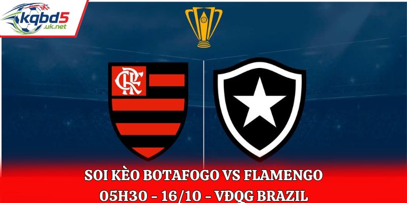 Soi keo botafogo vs Flamengo