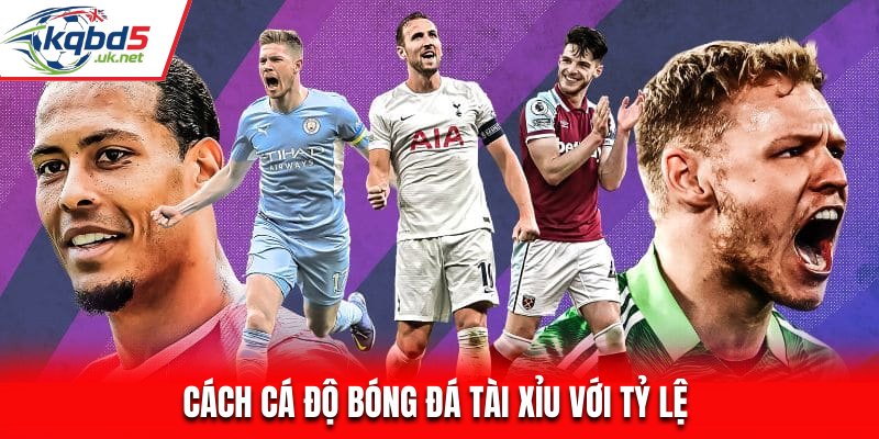 Dựa vào tỷ lệ để bắt đầu đặt cược