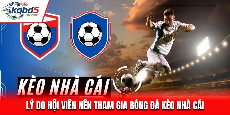 Lý do hội viên nên tham gia bóng đá kèo nhà cái