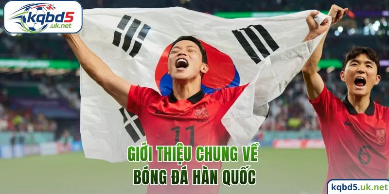 Giới thiệu chung về bóng đá Hàn Quốc