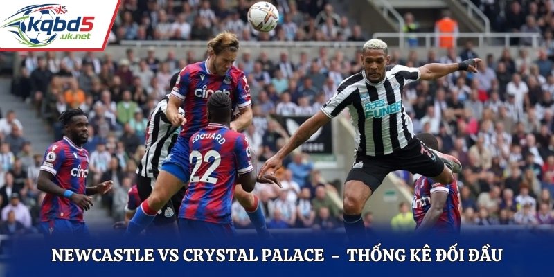 Soi kèo Newcastle vs Crystal Palace dựa vào lịch sử đối đầu
